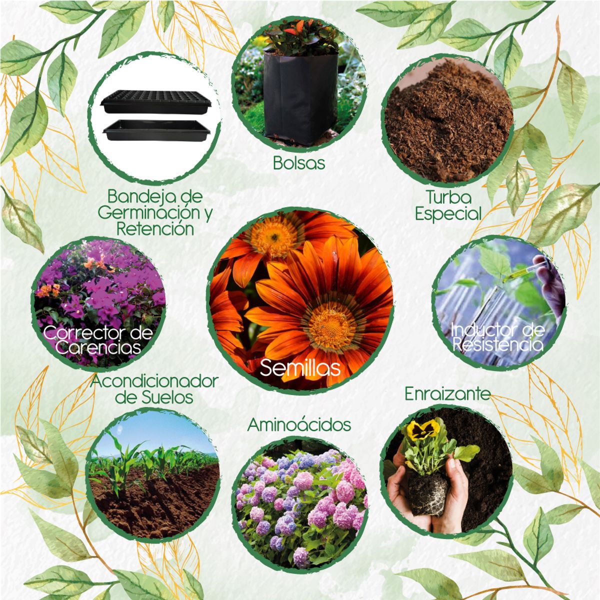 GENERICO - 20 Semillas De Flor Girasol Mix Naranjas + Kit De Producción