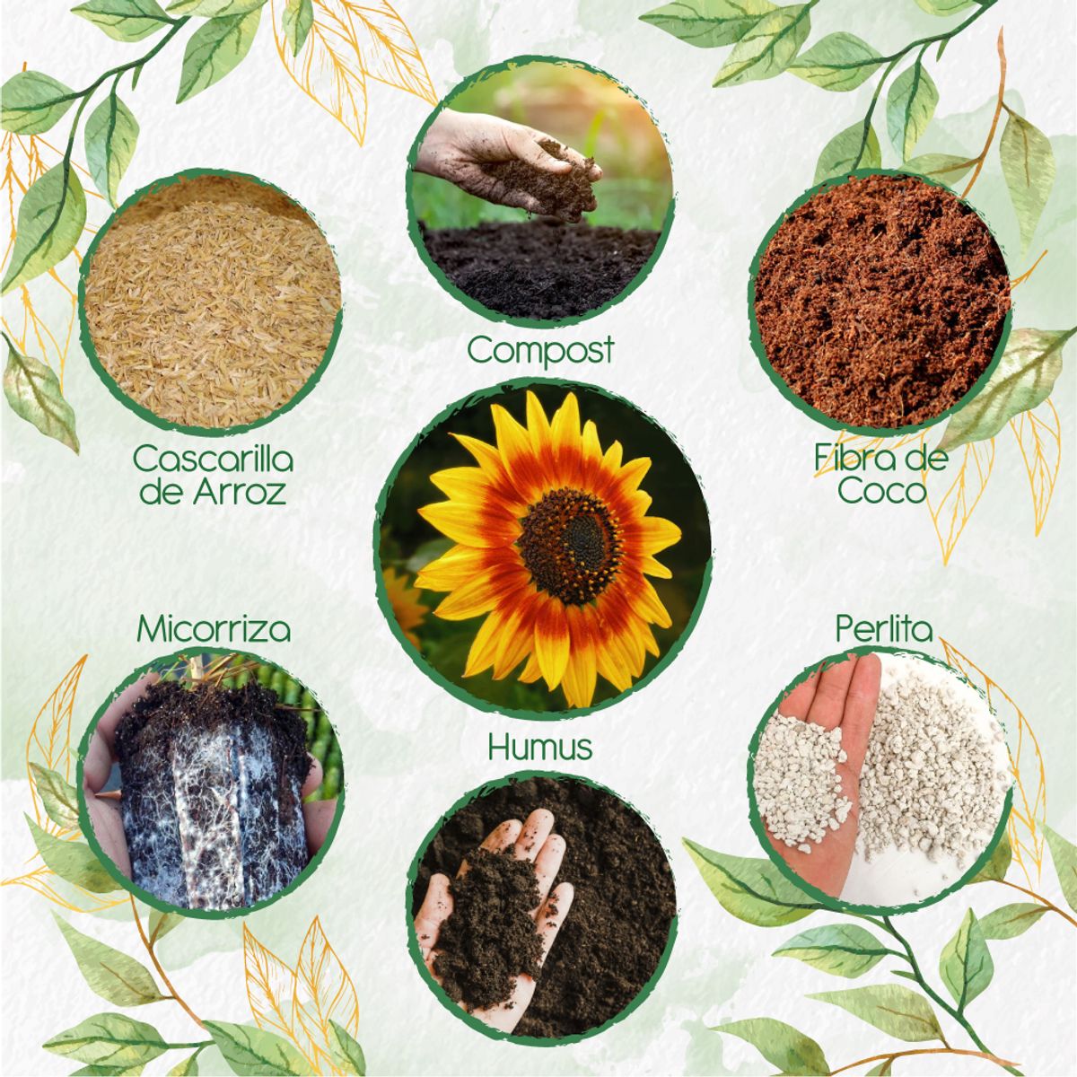 GENERICO - Kit De Acondicionadores De Suelos Para Flor Girasol Mix