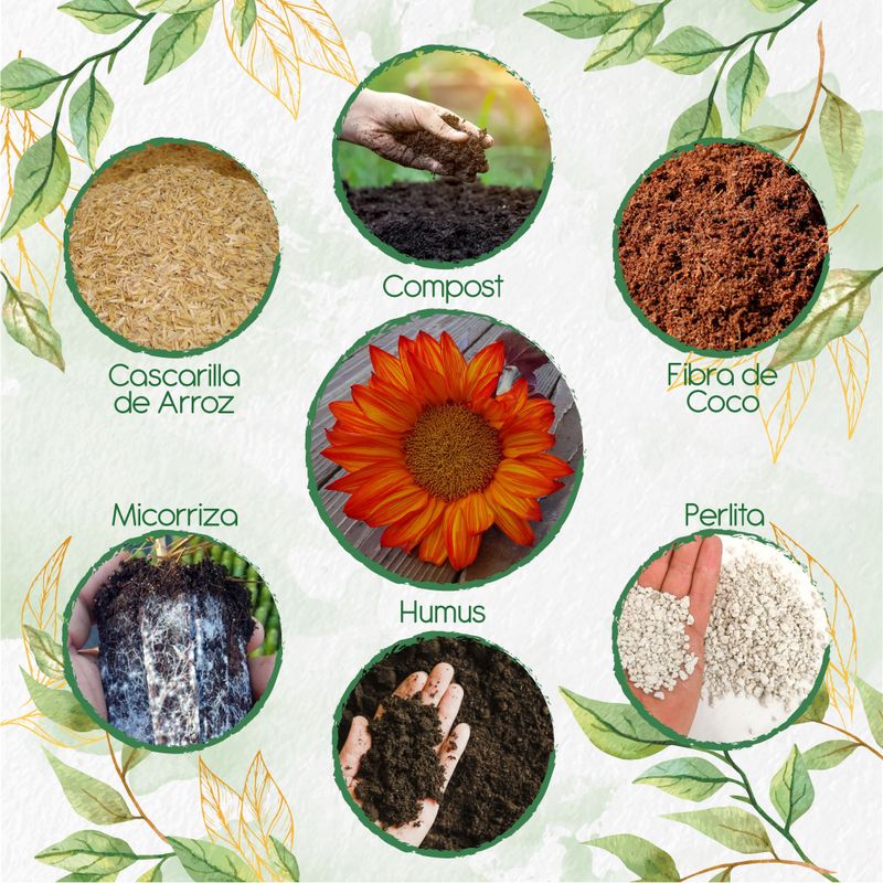 GENERICO - Kit De Acondicionadores De Suelos Para Flor Girasol Naranja