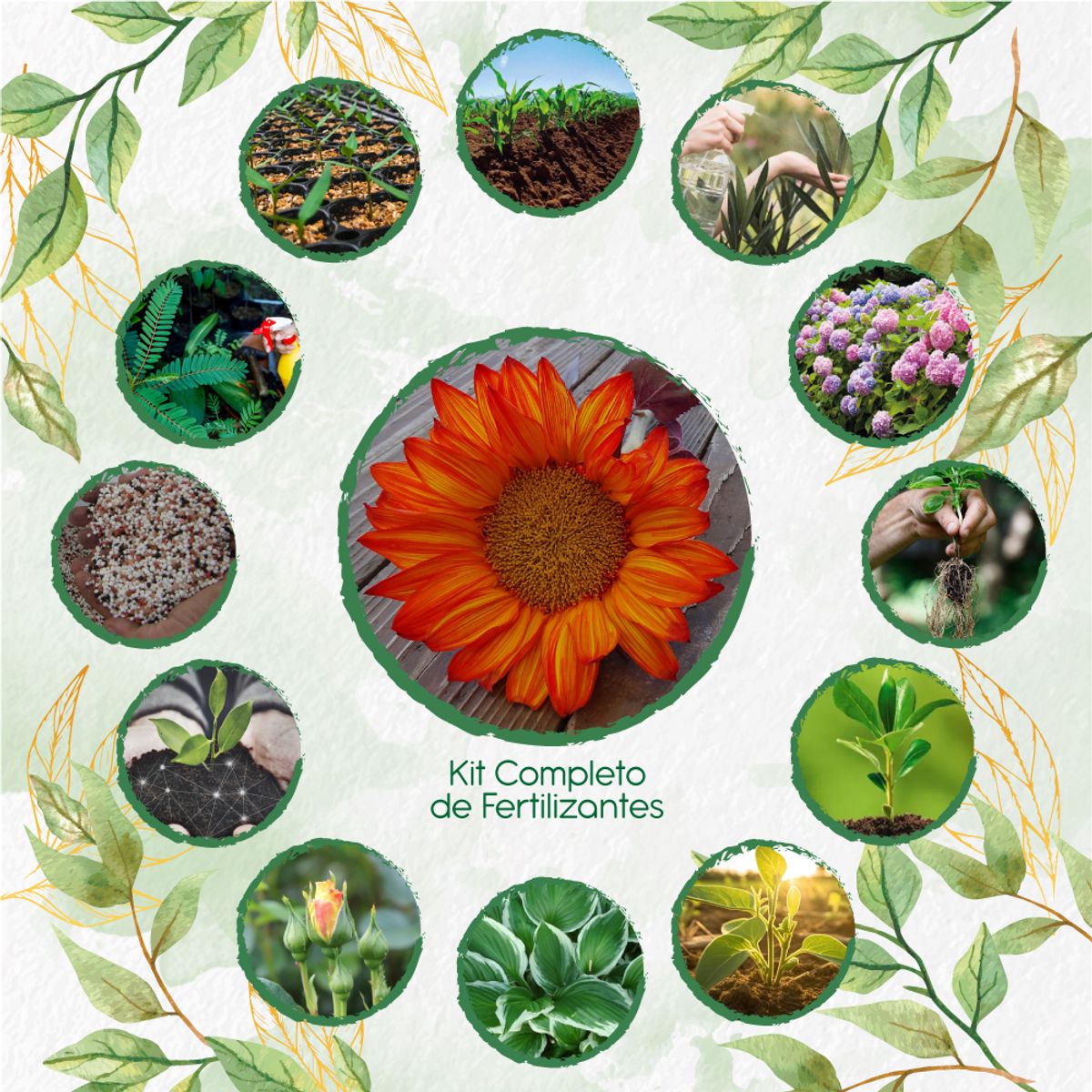 GENERICO - Kit Completo De Fertilizantes Para Flor Girasol Naranja
