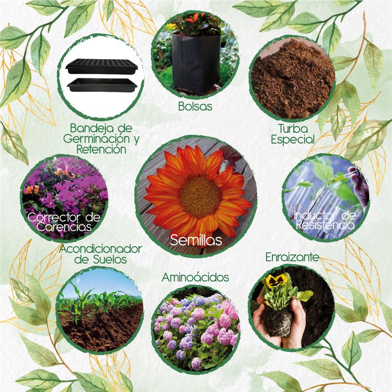 GENERICO - 24 Semillas De Flor Girasol Naranja + Kit De Producción