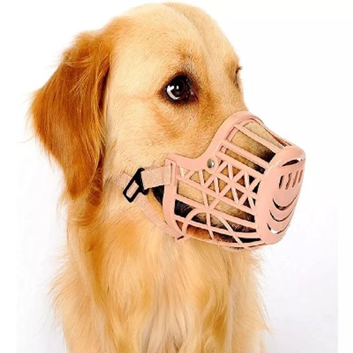 GENERICO - BOSAL BOZAL PERRO GRANDE MEDIANO PEQUEÑO ENTRENAMIENTO CREMA