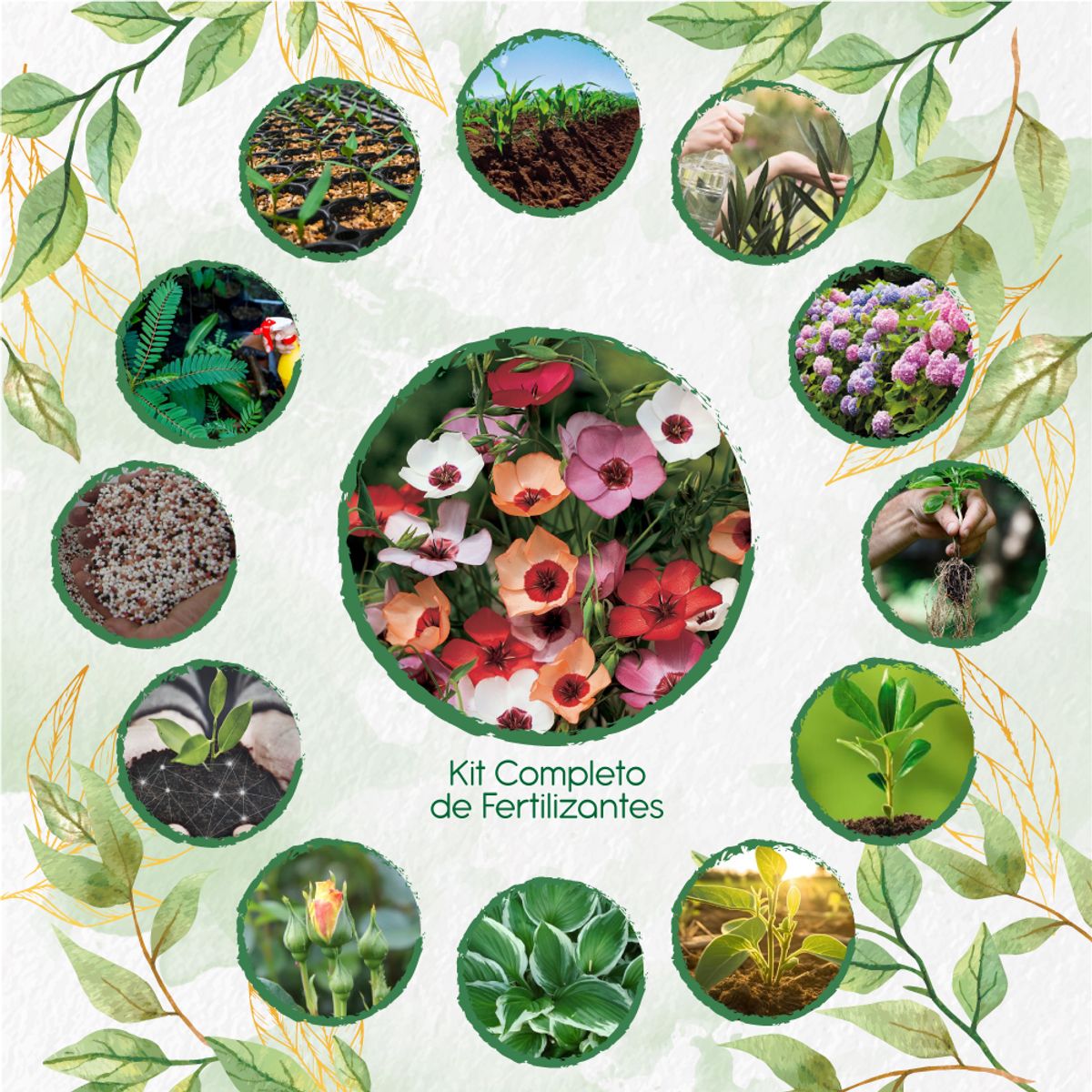 GENERICO - Kit Completo De Fertilizantes Para Flor Lino