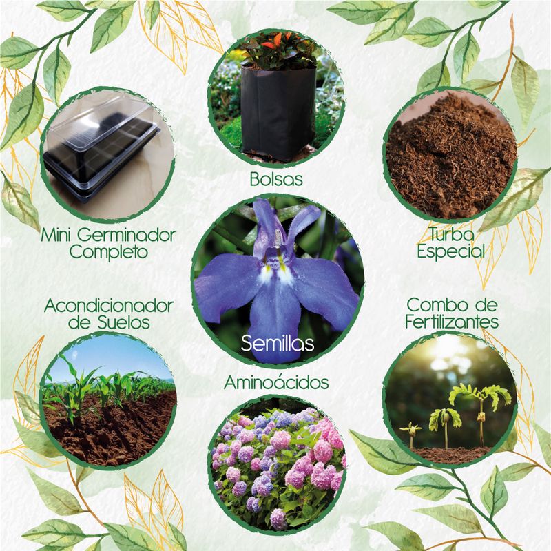 GENERICO - 100 Semillas De Flor Lobelia + Kit De Germinación Especial