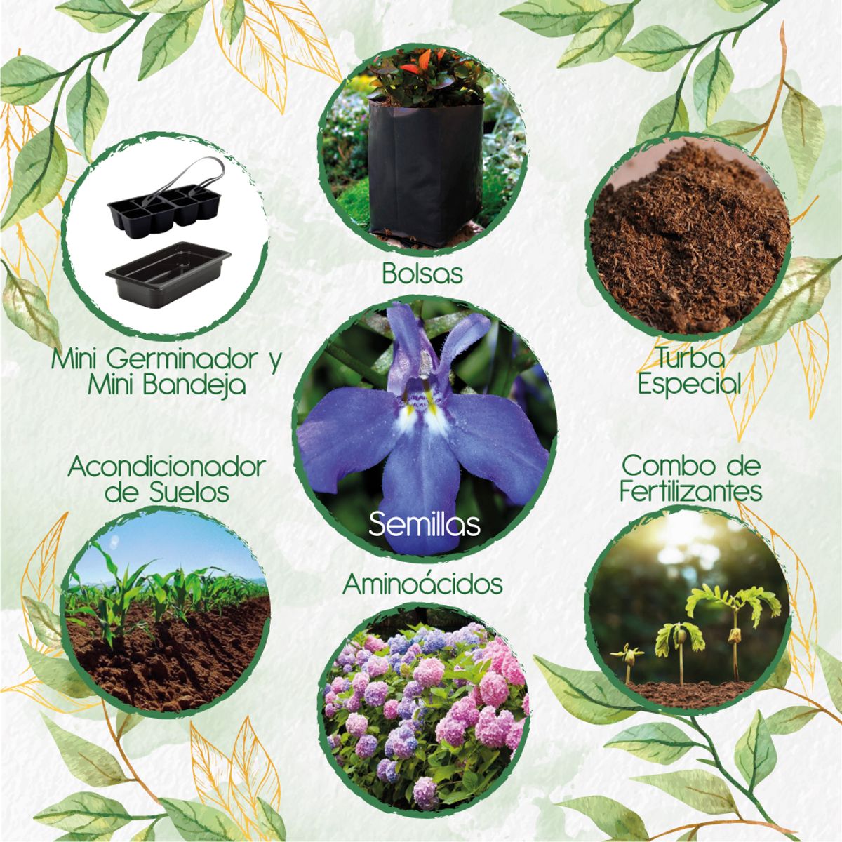 GENERICO - 50 Semillas Orgánicas De Flor Lobelia + Kit De Germinación