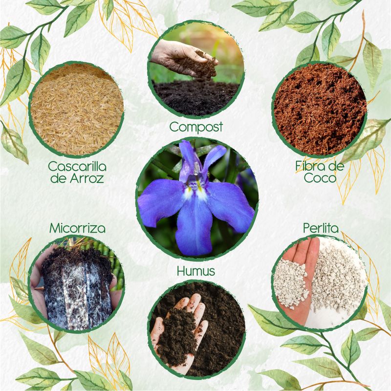 GENERICO - Kit De Acondicionadores De Suelos Para Flor Lobelia