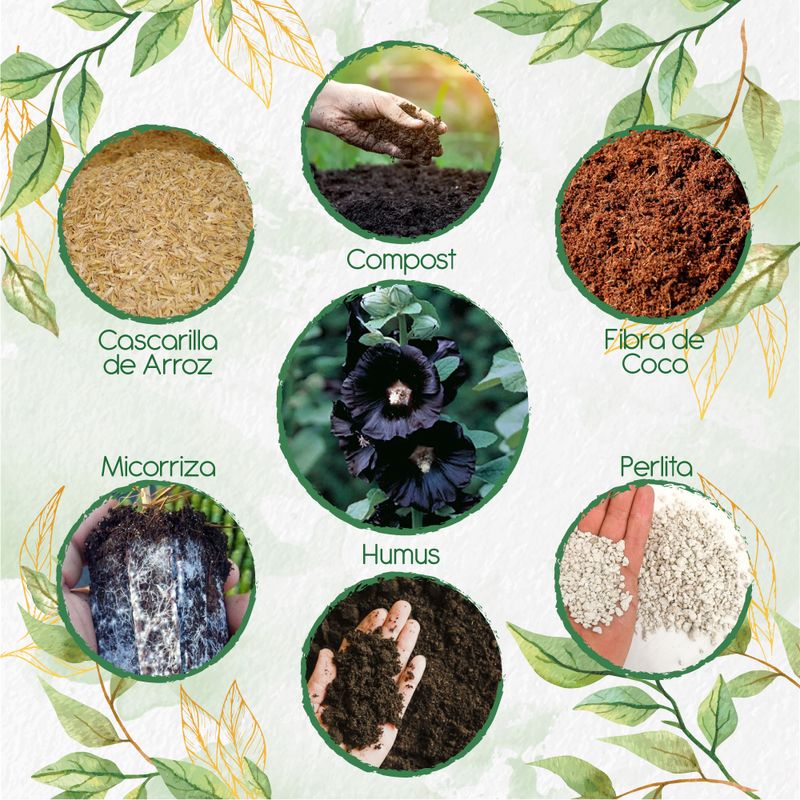 GENERICO - Kit De Acondicionadores De Suelos Para Flor Malva Real