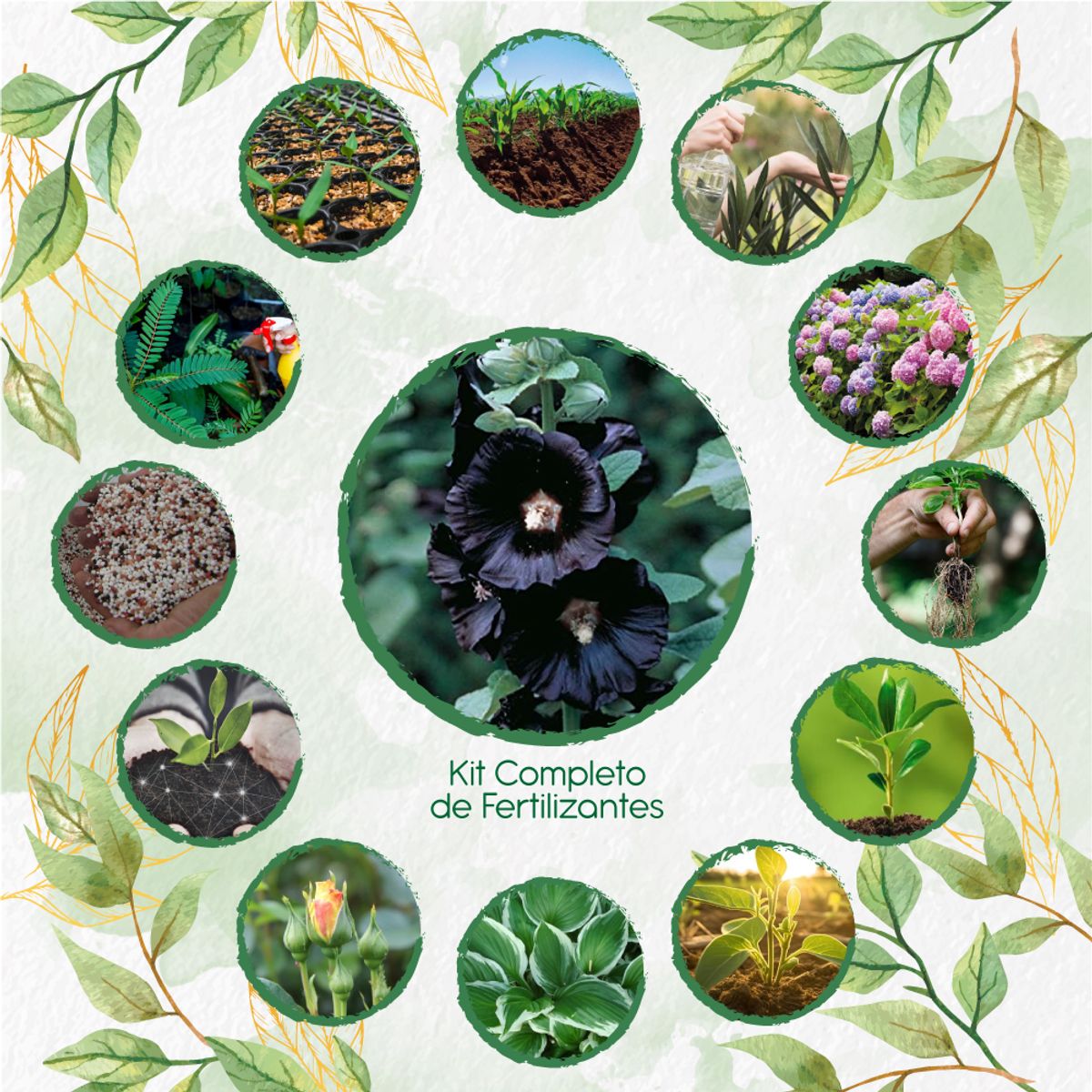 GENERICO - Kit Completo De Fertilizantes Para Flor Malva Real