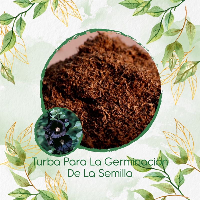 GENERICO - Turba Canadiense Especial Para Semillas De Malva Real