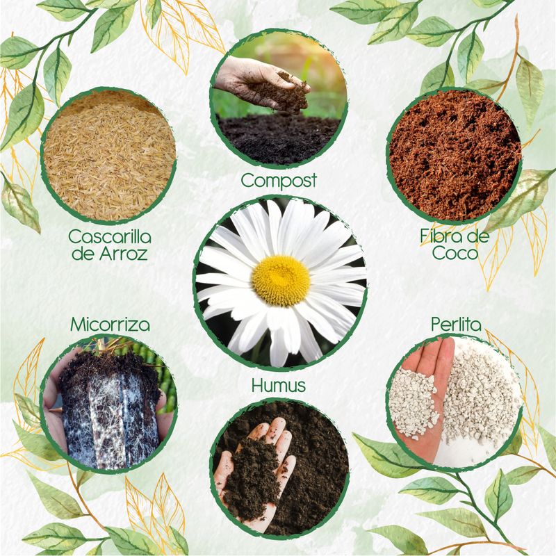 GENERICO - Kit De Acondicionadores De Suelos Para Flor Margarita Crisantemo
