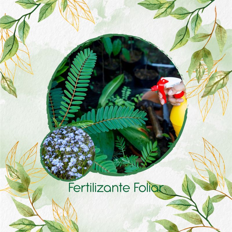 GENERICO - Fertilizante Generación De Brotes Para Flor No Me Olvides