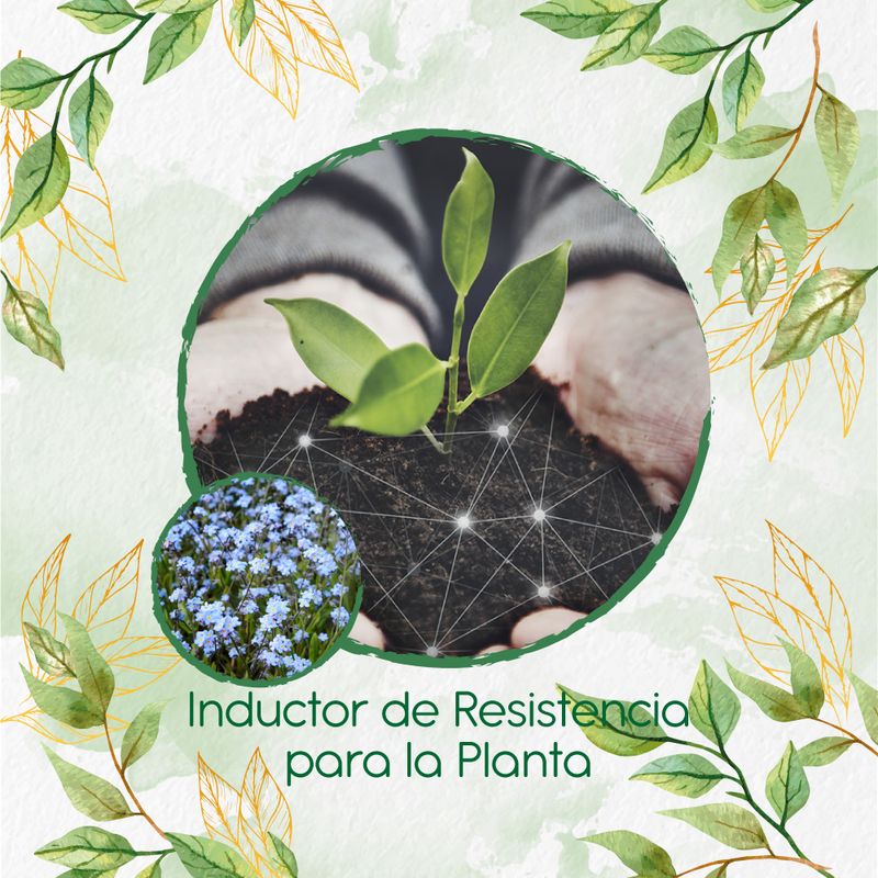 GENERICO - Fertilizante Inductor De Resistencia Para Flor No Me Olvides