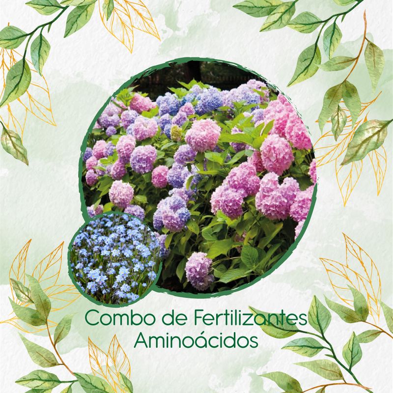 GENERICO - Combo De Fertilizantes Aminoácidos Para Flor No Me Olvides