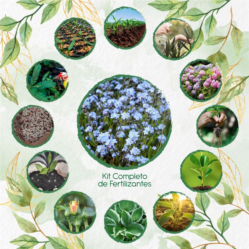 GENERICO - Kit Completo De Fertilizantes Para Flor No Me Olvides
