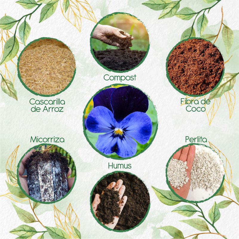 GENERICO - Kit De Acondicionadores De Suelos Para Flor Pensamiento Azul