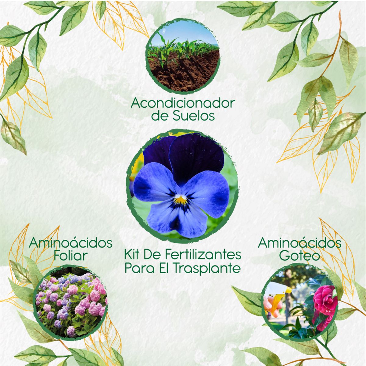 GENERICO - Kit De Fertilizantes Para El Trasplante De Flor Pensamiento Azul