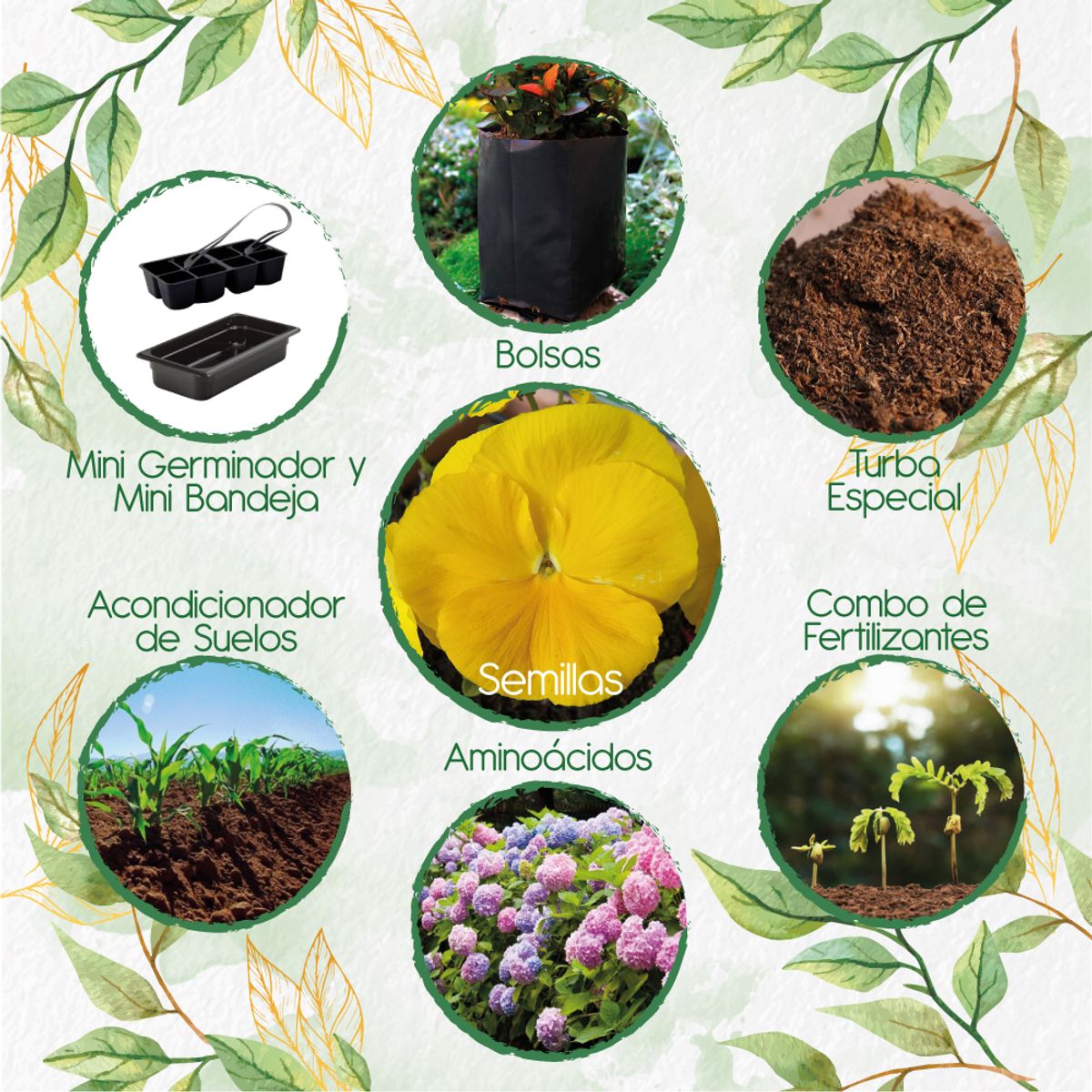 GENERICO - 100 Semillas Orgánicas De Pensamiento Amarillo + Kit De Germinación