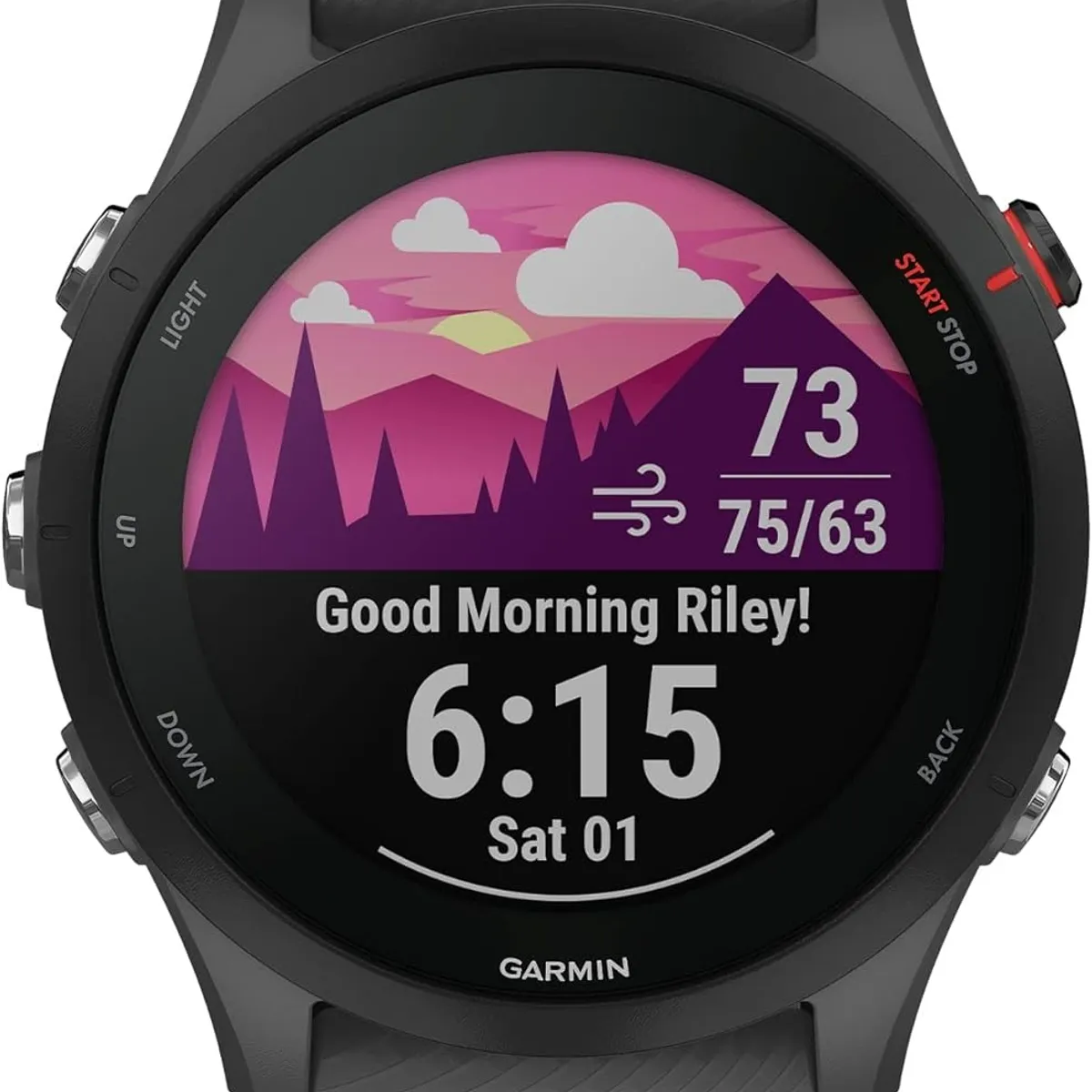 GARMIN - Reloj Garmin Forerunner 255 Graphite