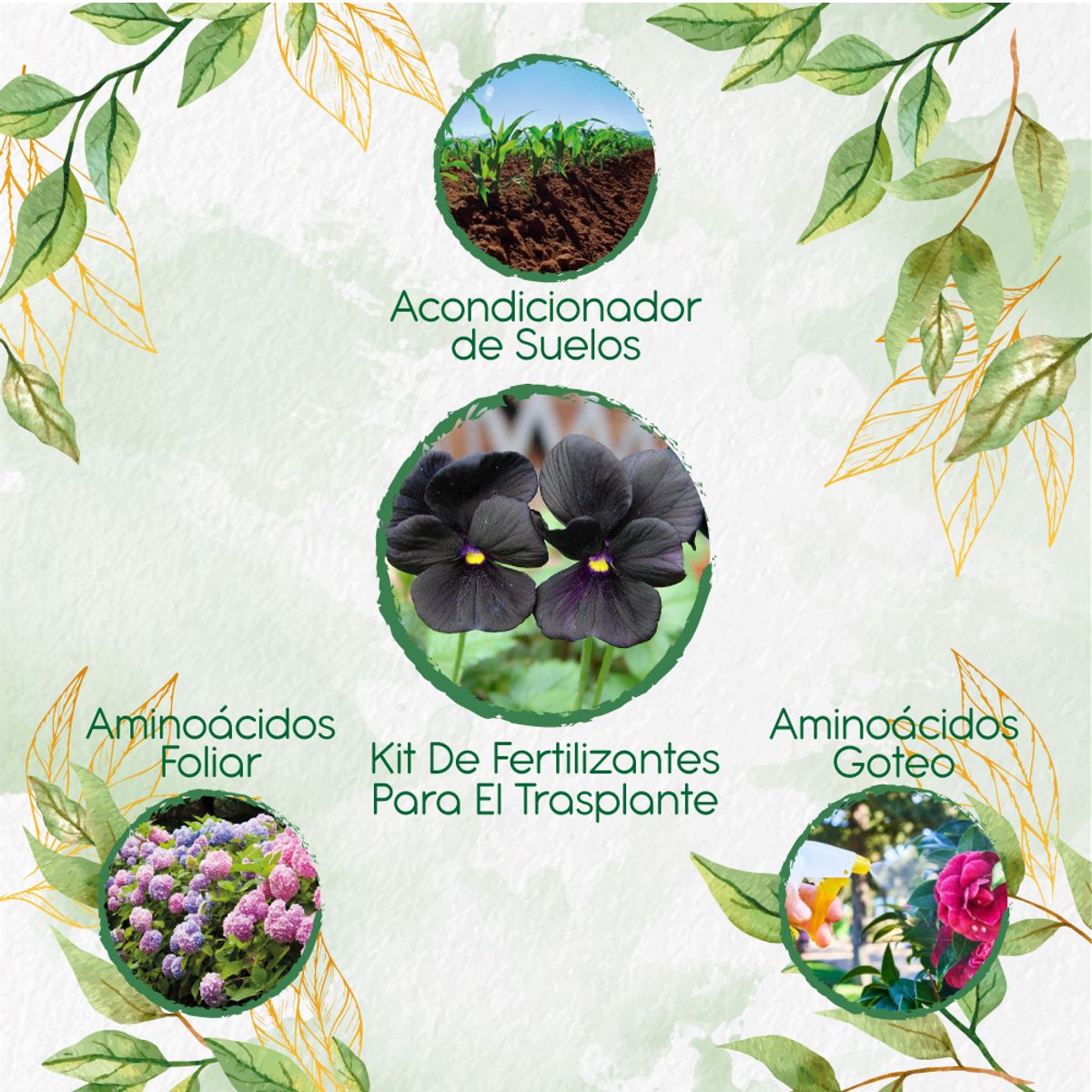 GENERICO - Kit De Fertilizantes Para El Trasplante De Flor Pensamiento Casi Negro