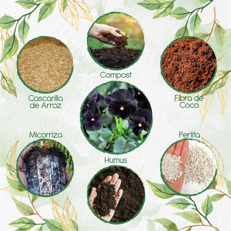 GENERICO - Kit De Acondicionadores De Suelos Para Flor Pensamiento Casi Negro