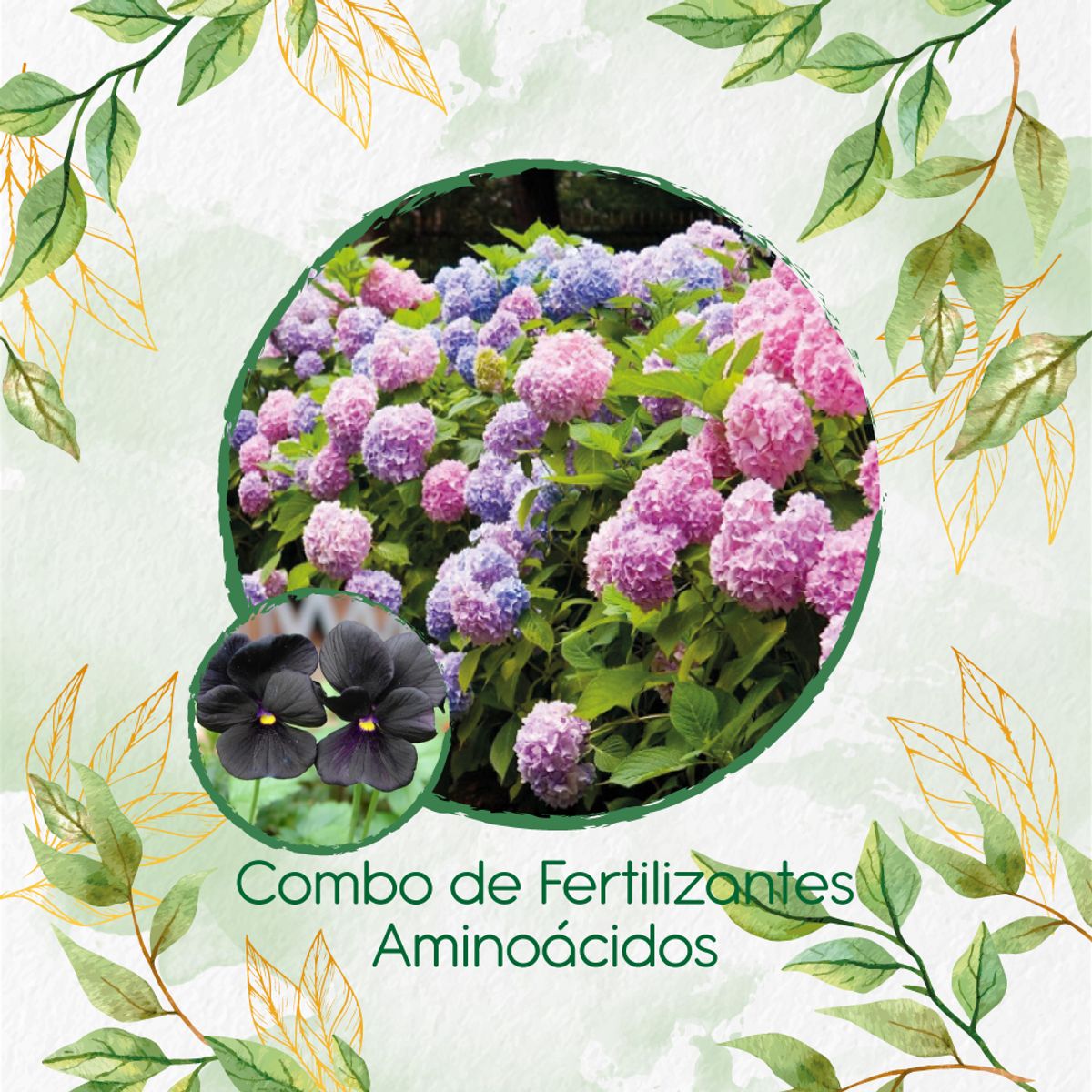 GENERICO - Combo De Fertilizantes Aminoácidos Para Flor Pensamiento Casi Negro