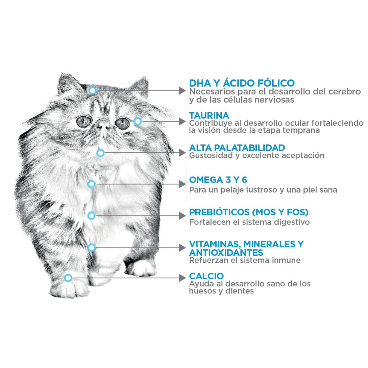 NUPEC - Alimento Nupec Felino Kitten 1500g