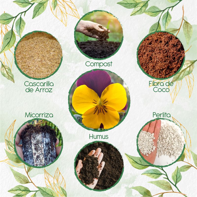 GENERICO - Kit De Acondicionadores De Suelos Para Flor Pensamiento Cornuta