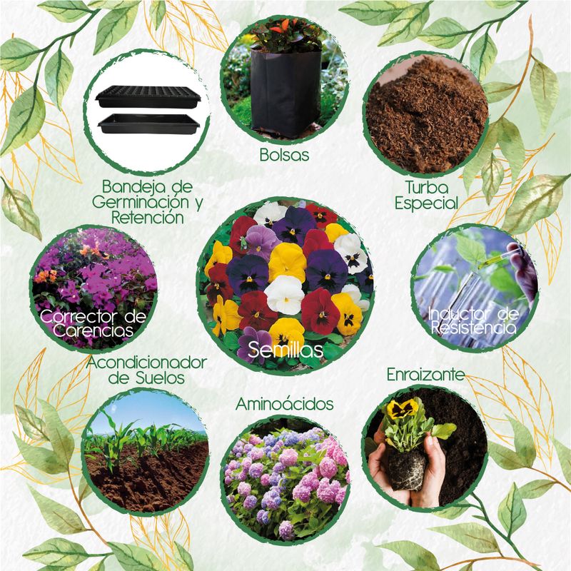 GENERICO - 200 Semillas De Flor Pensamiento Holanda + Kit De Siembra