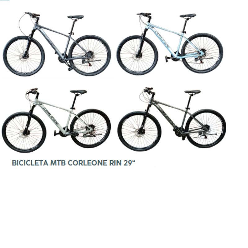 GENERICO - Bicicleta MTB Carleone Rin 29