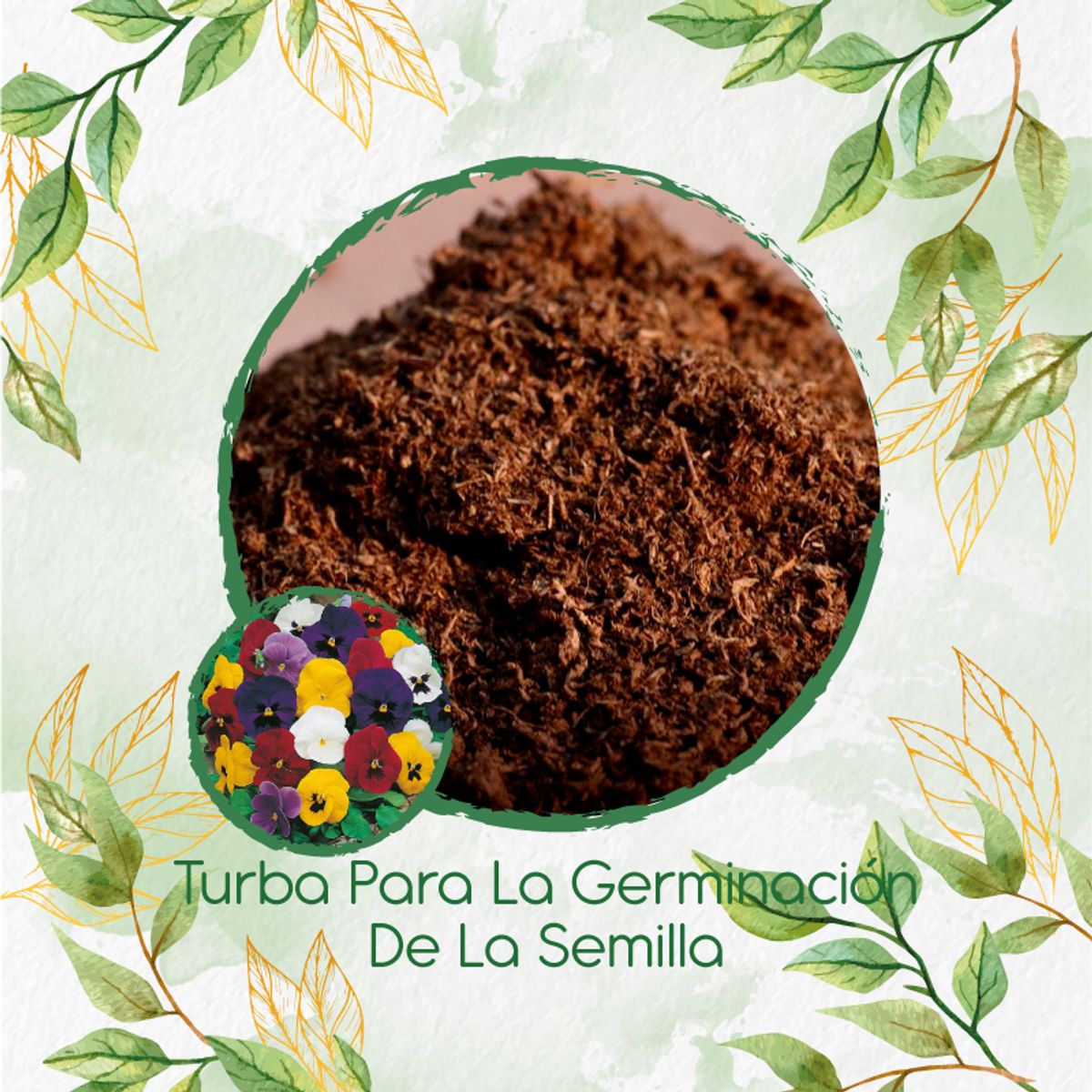 GENERICO - Turba Canadiense Especial Para Semillas De Pensamiento Holanda