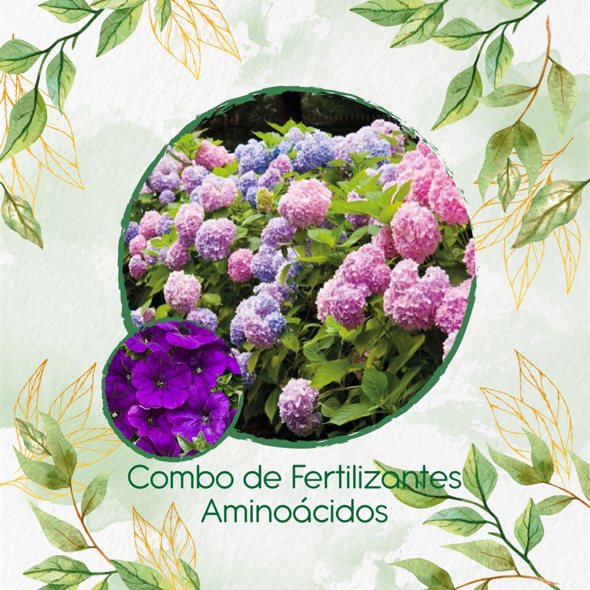 GENERICO - Combo De Fertilizantes Aminoácidos Para Flor Petunia Azul Violeta