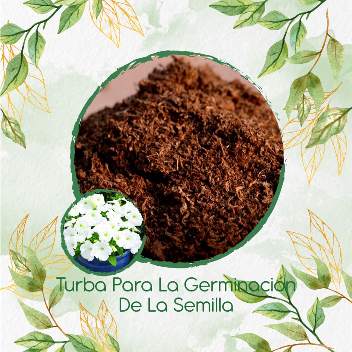 GENERICO - Turba Canadiense Especial Para Semillas De Petunia Enana Blanca