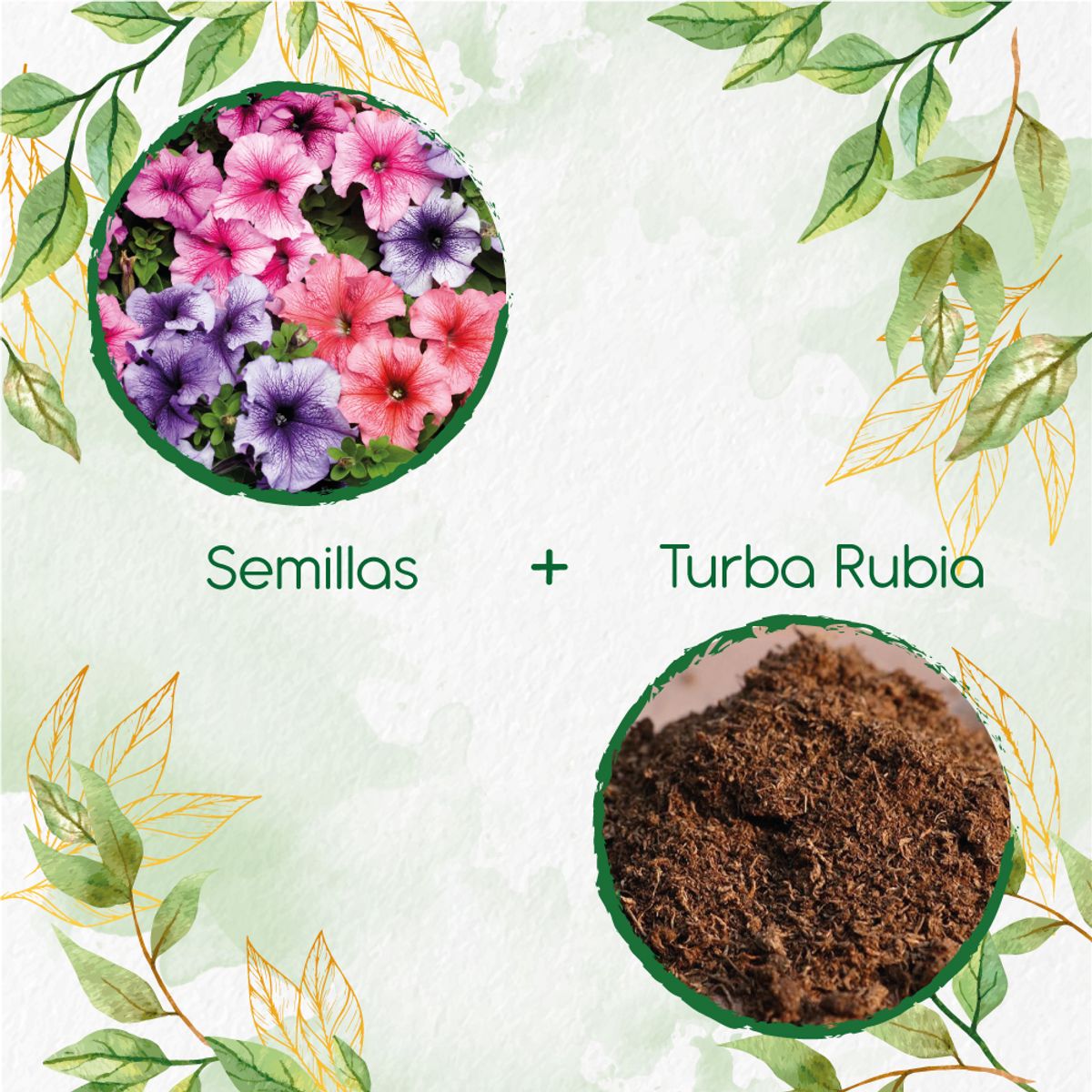 GENERICO - 1.000 Semillas De Flor Petunia Mezcla + Turba De Germinación