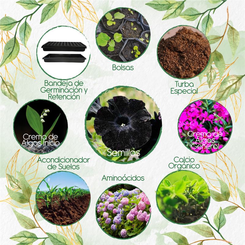 GENERICO - 80 Semillas De Flor Petunia Negra  + Kit Orgánico