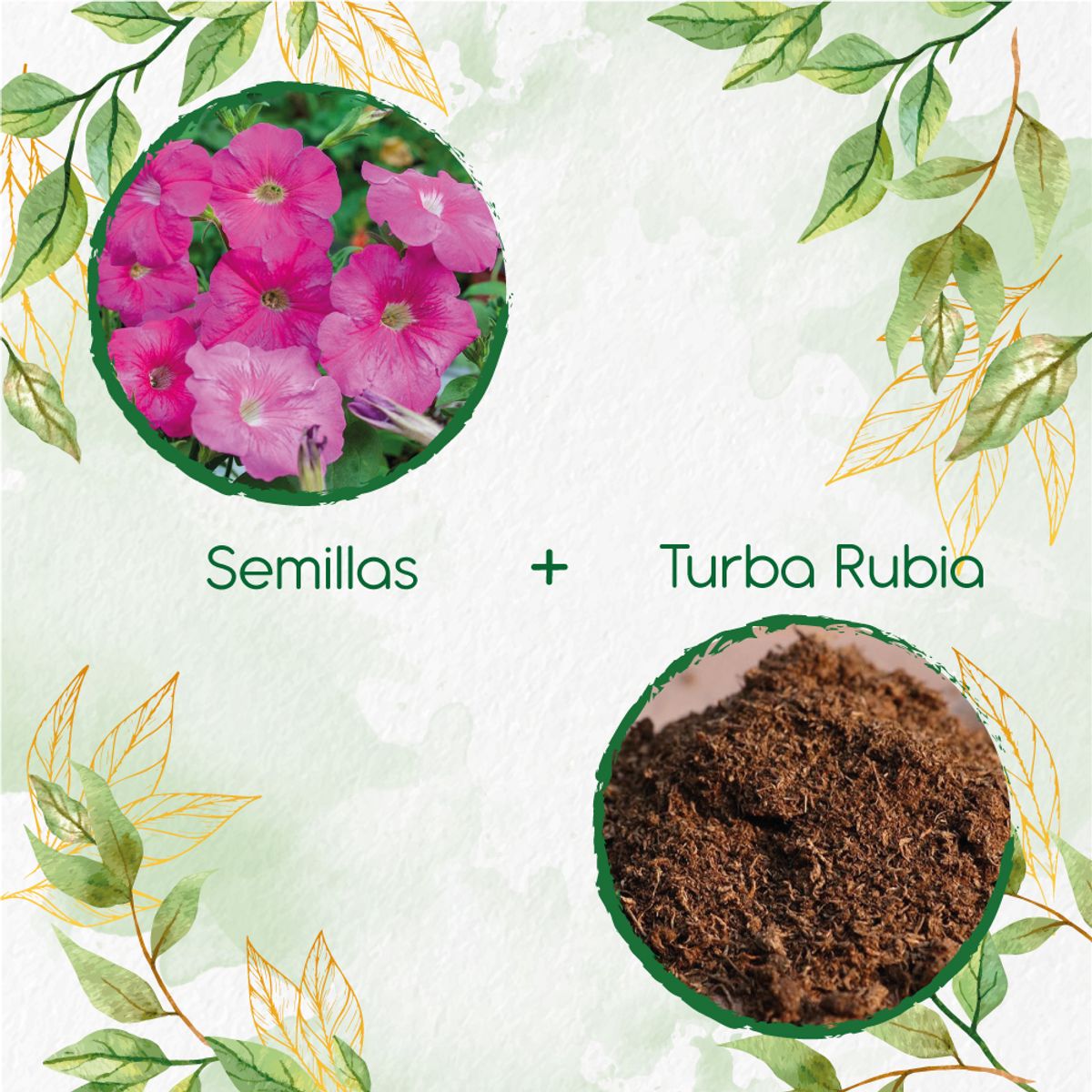 GENERICO - 200 Semillas De Flor Petunia Rosa + Turba De Germinación