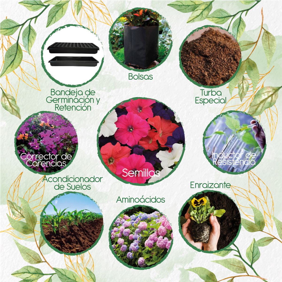 GENERICO - 2.400 Semillas De Flor Petunia Péndula + Kit De Siembra