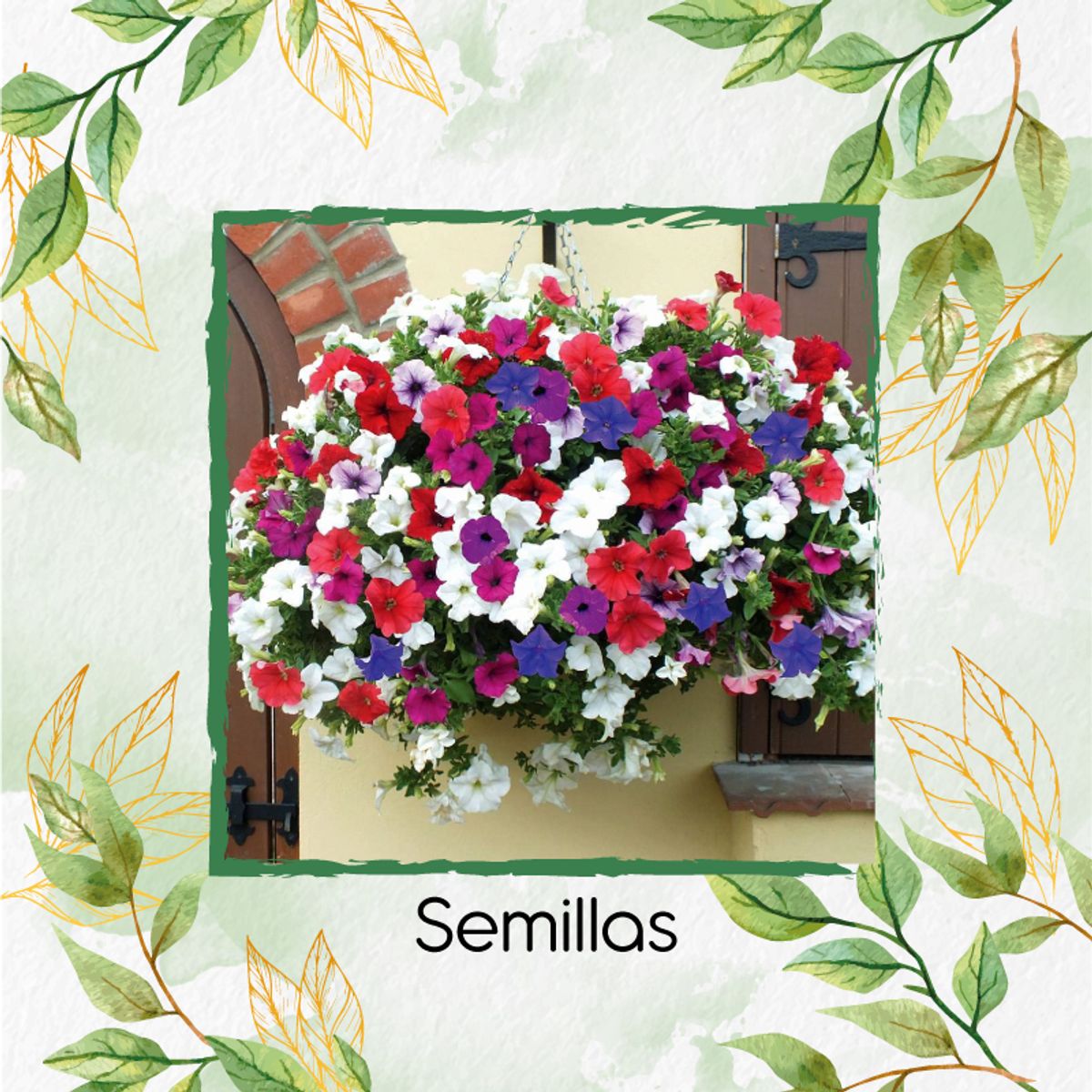 GENERICO - 2.400 Semillas De Flor Petunia Péndula + Kit De Siembra