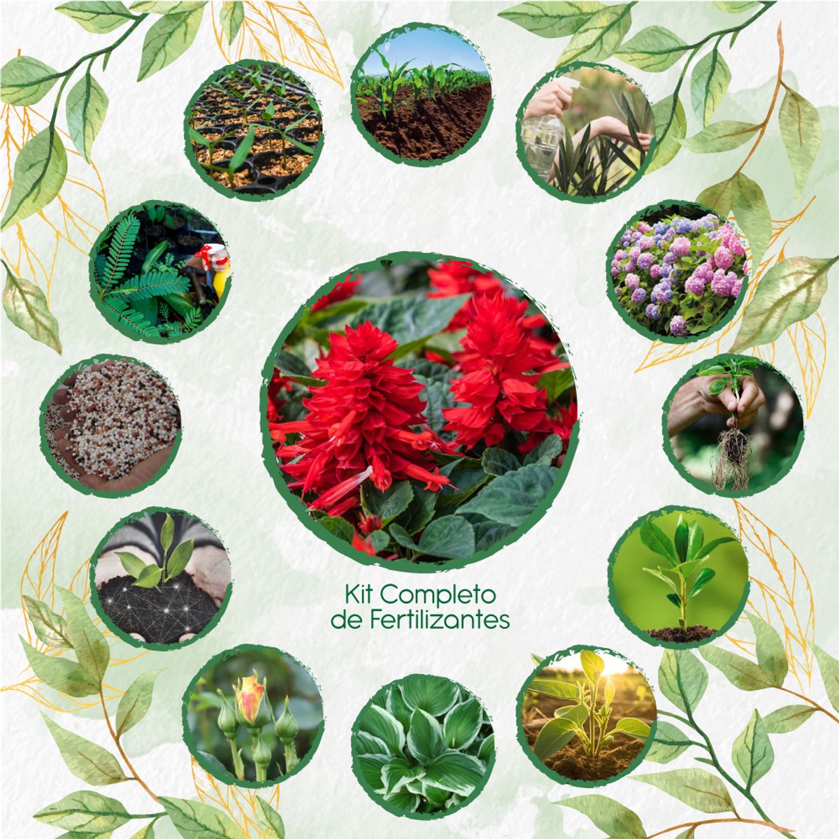 GENERICO - Kit Completo De Fertilizantes Para Flor Salvia Fuego De San Juan