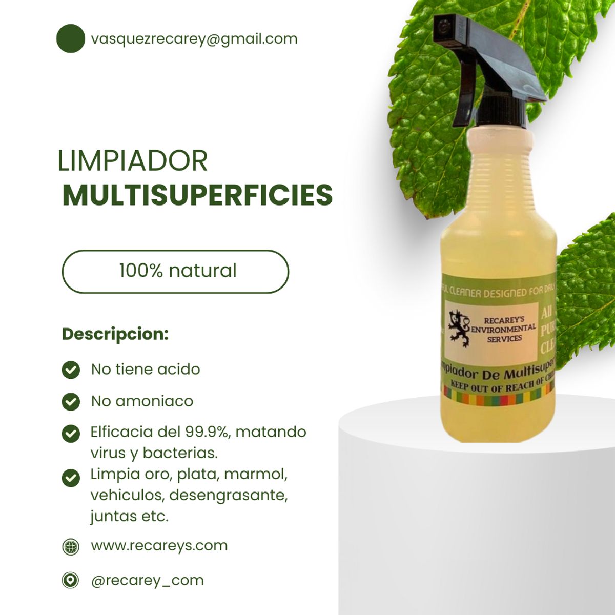 GENERICO - Limpiador Desinfectante De Multisuperficies De Recarey