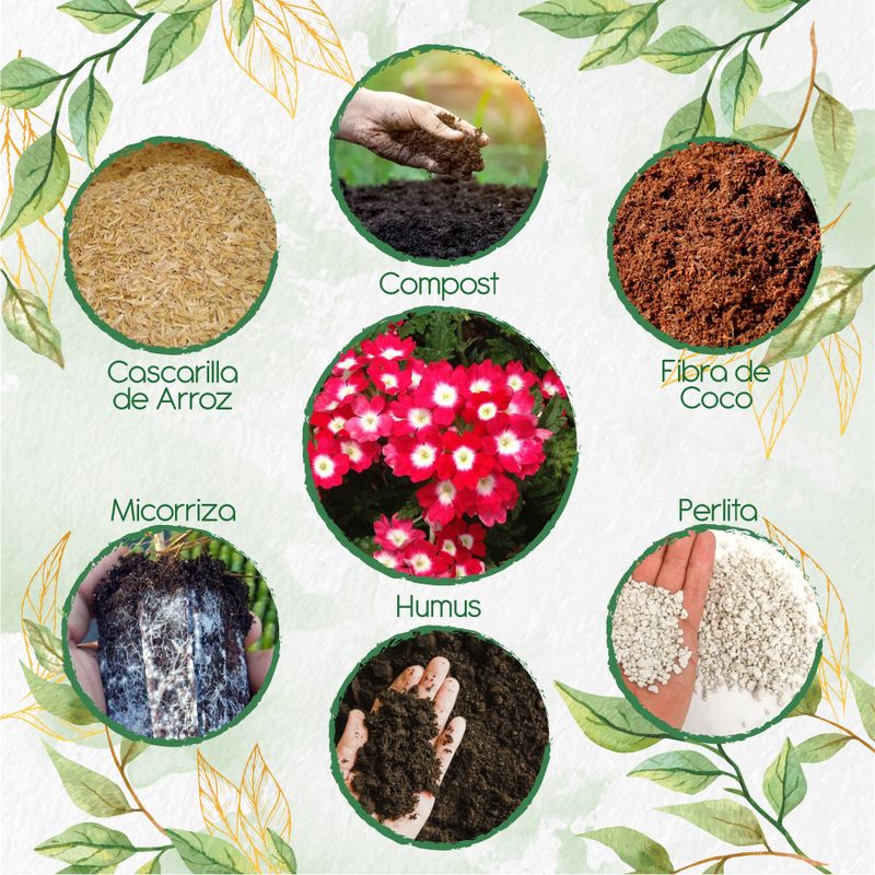 GENERICO - Kit De Acondicionadores De Suelos Para Flor Verbena