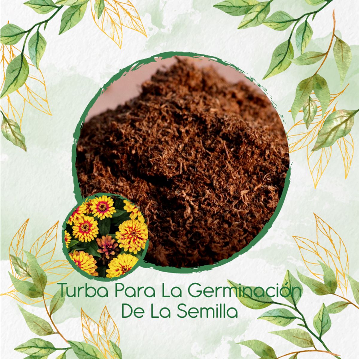 GENERICO - Turba Canadiense Especial Para Semillas De Zinnia Alfombra De Persia