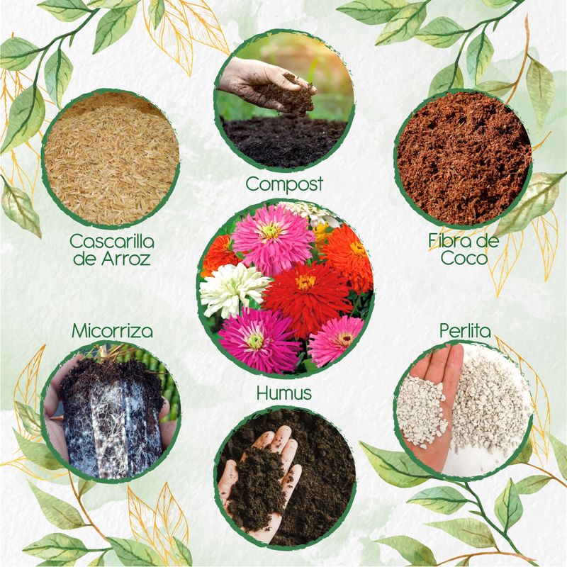 GENERICO - Kit De Acondicionadores De Suelos Para Flor Zinnia Crisantemo