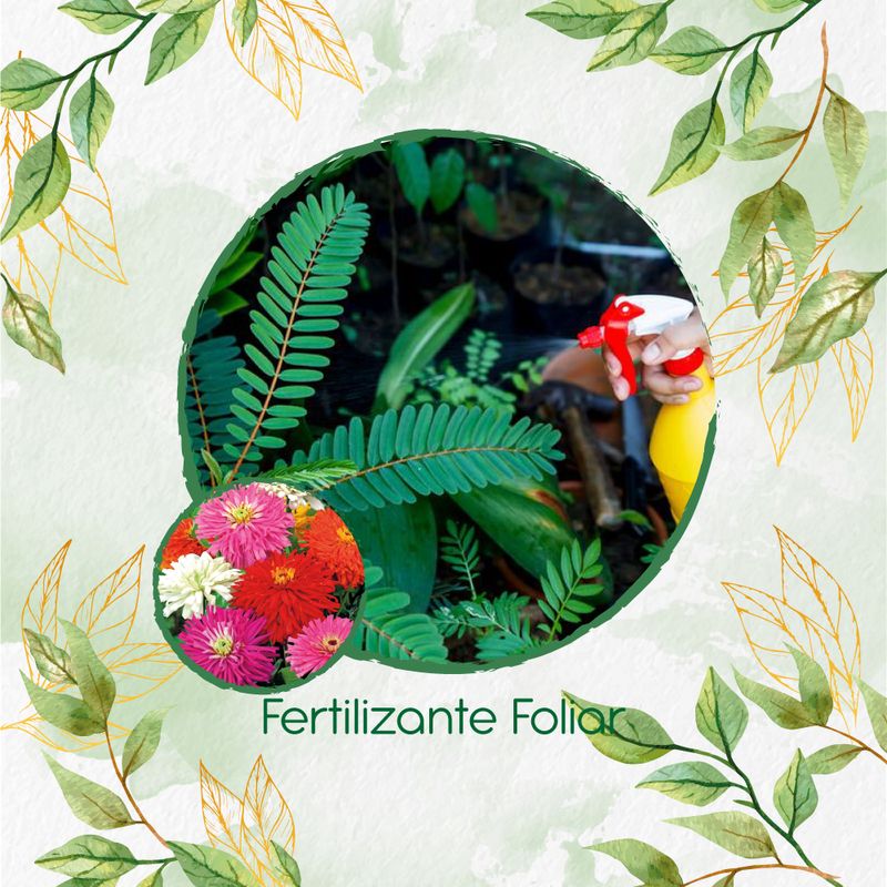 GENERICO - Fertilizante Generación De Brotes Para Flor Zinnia Crisantemo