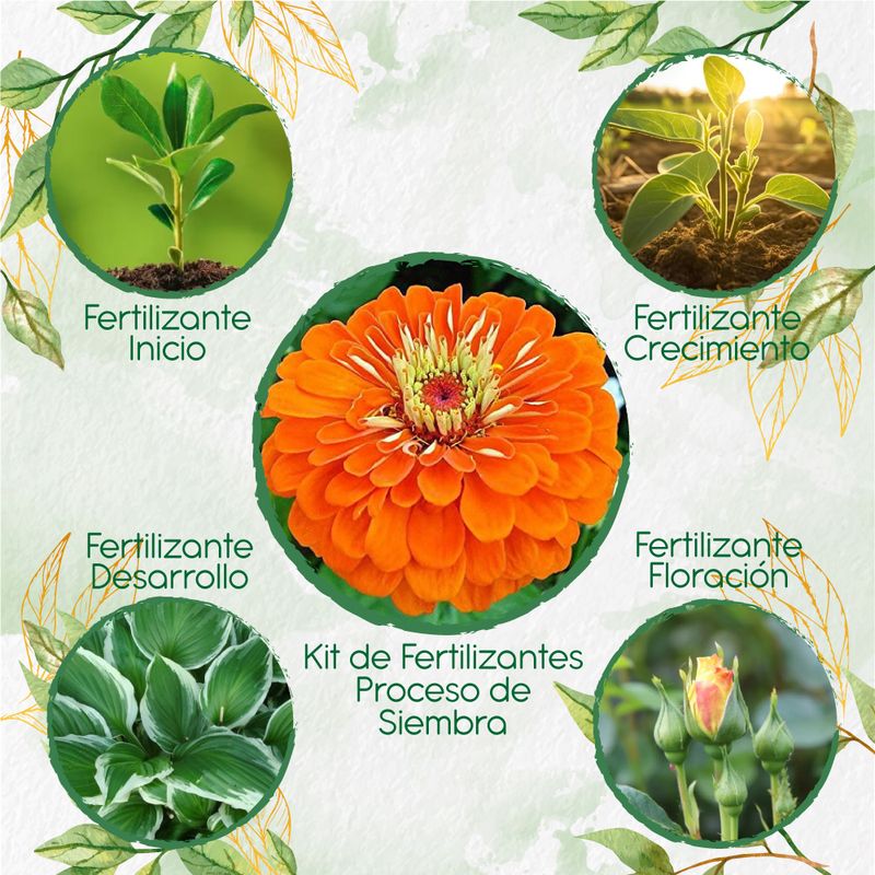 GENERICO - Kit De Fertilizantes Para La Siembra De Flor Zinnia Naranja