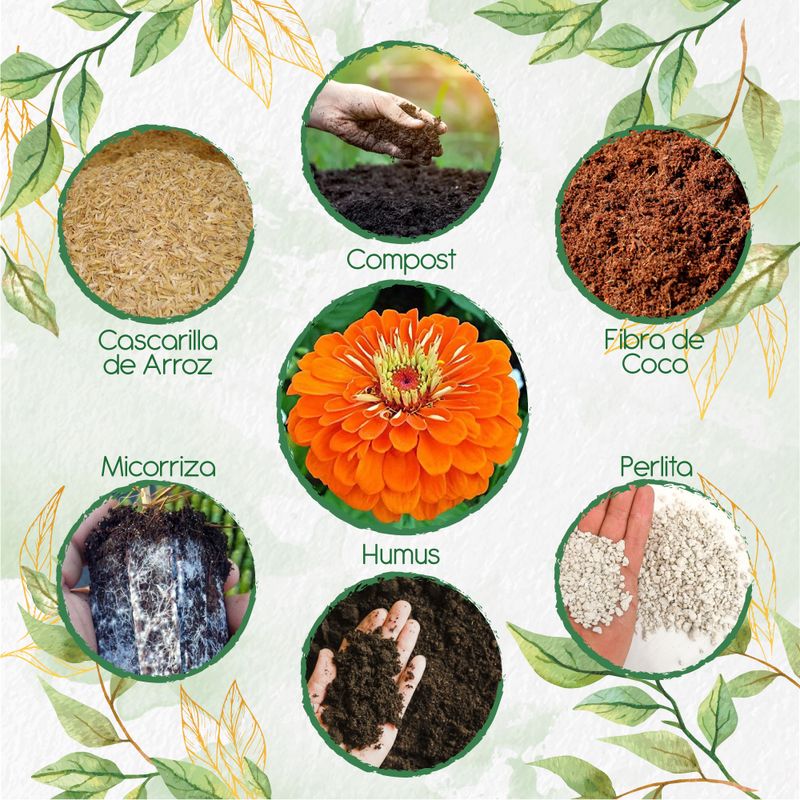 GENERICO - Kit De Acondicionadores De Suelos Para Flor Zinnia Naranja