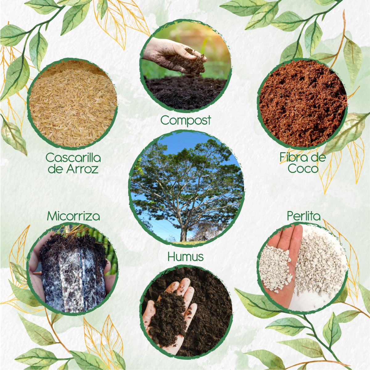 GENERICO - Kit De Acondicionadores De Suelos Para Árbol Abarco