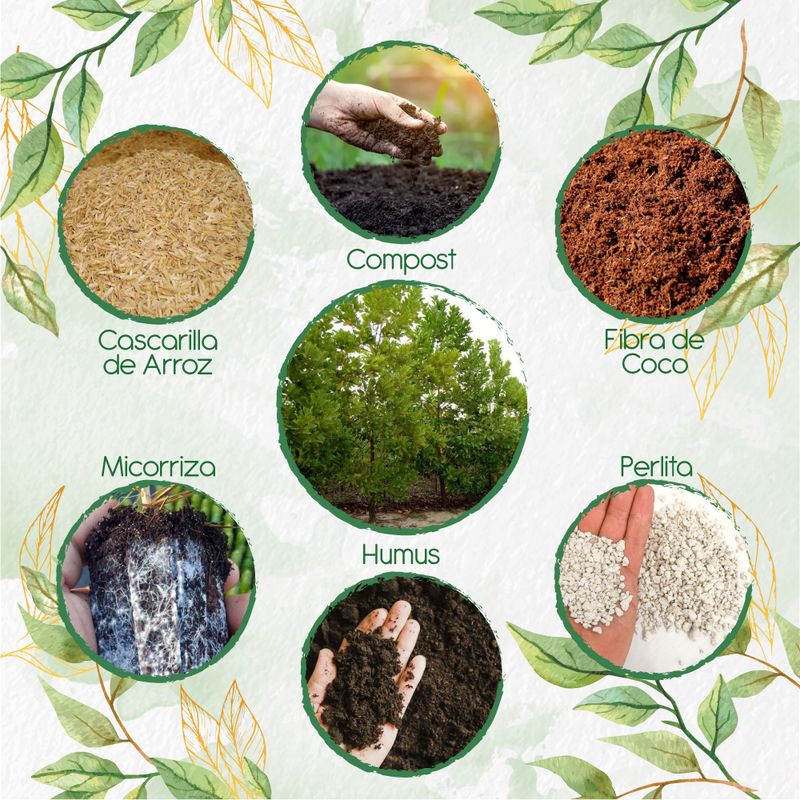 GENERICO - Kit De Acondicionadores De Suelos Para Árbol Acacia Bracatinga