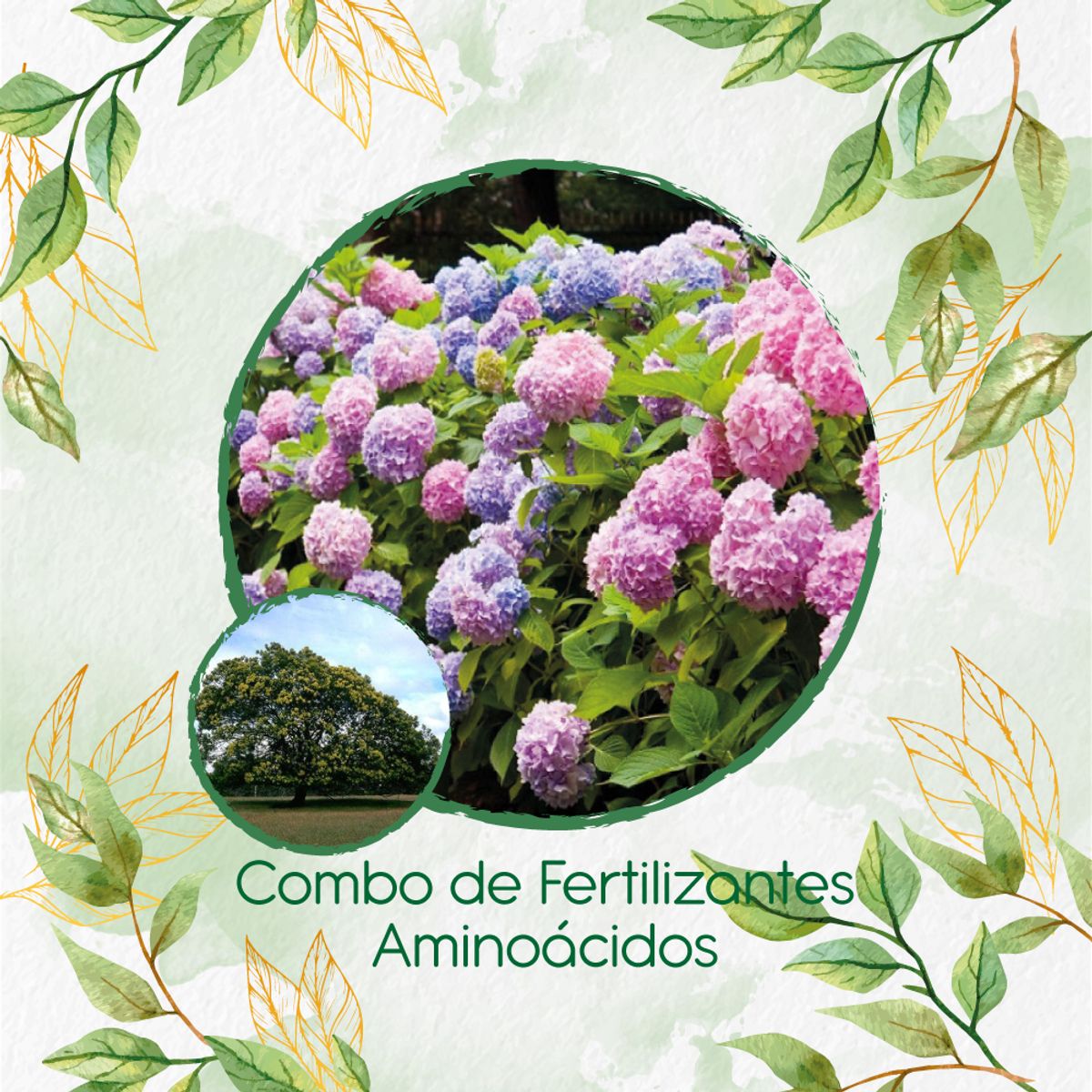 GENERICO - Combo De Fertilizantes Aminoácidos Para Árbol Acacia Negra