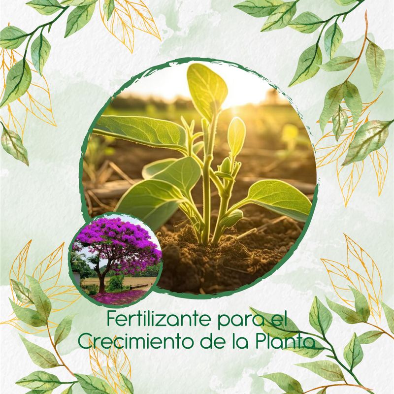 GENERICO - Fertilizante Para El Crecimiento De Árbol Acacia Rosa
