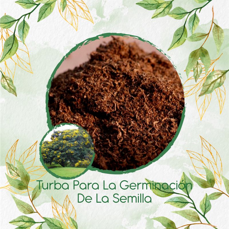 GENERICO - Turba Canadiense Especial Para Semillas De Árbol Alcaparro